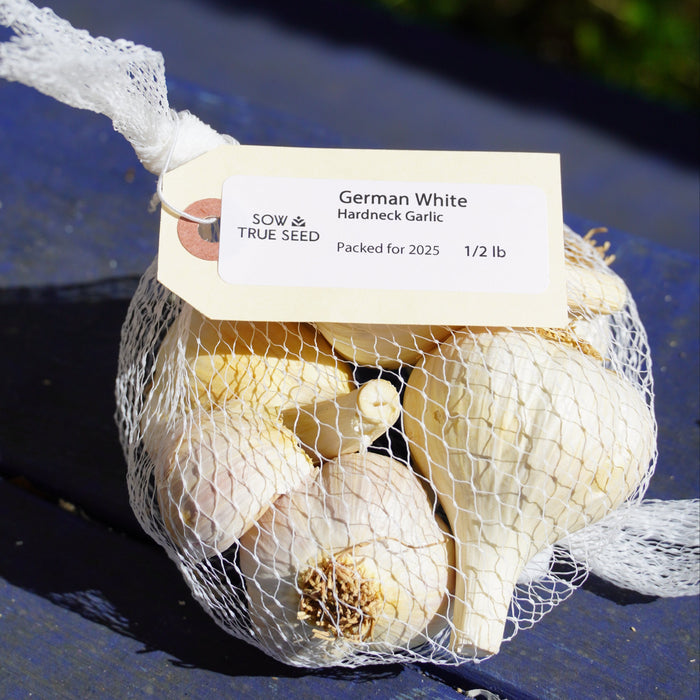 German White Hardneck Garlic - Sow True Seed