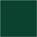 Benjamin Moore Color HC-189 Chrome Green