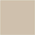 Benjamin Moore Color HC-80 Bleeker Beige