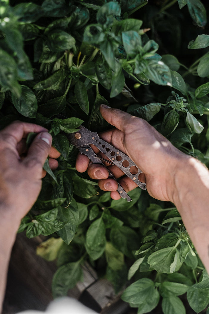 Herb Harvest & Strip Tool - Sow True Seed