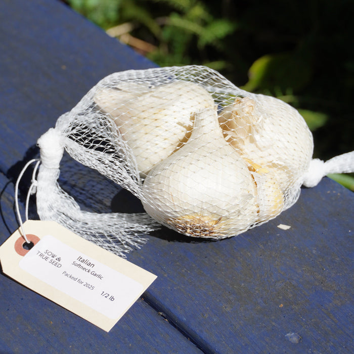 Italian Softneck Garlic - Sow True Seed