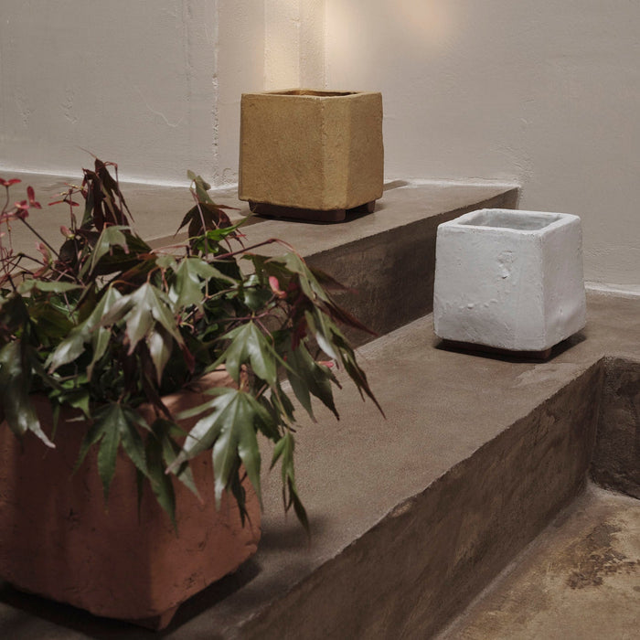 Kurinu Pot - Batten Home
