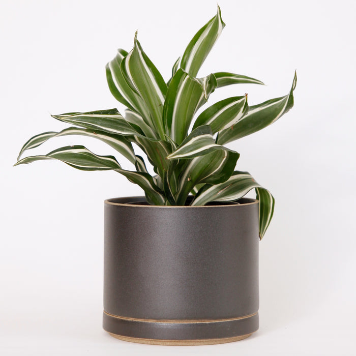 Hasami PorcelainLarge Planter and Saucer Set in Black - Batten Home