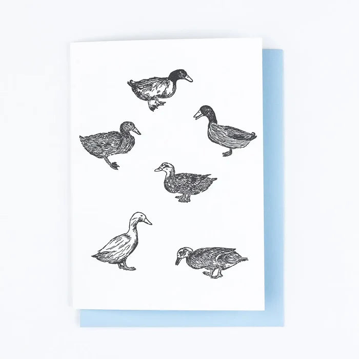 Ducks