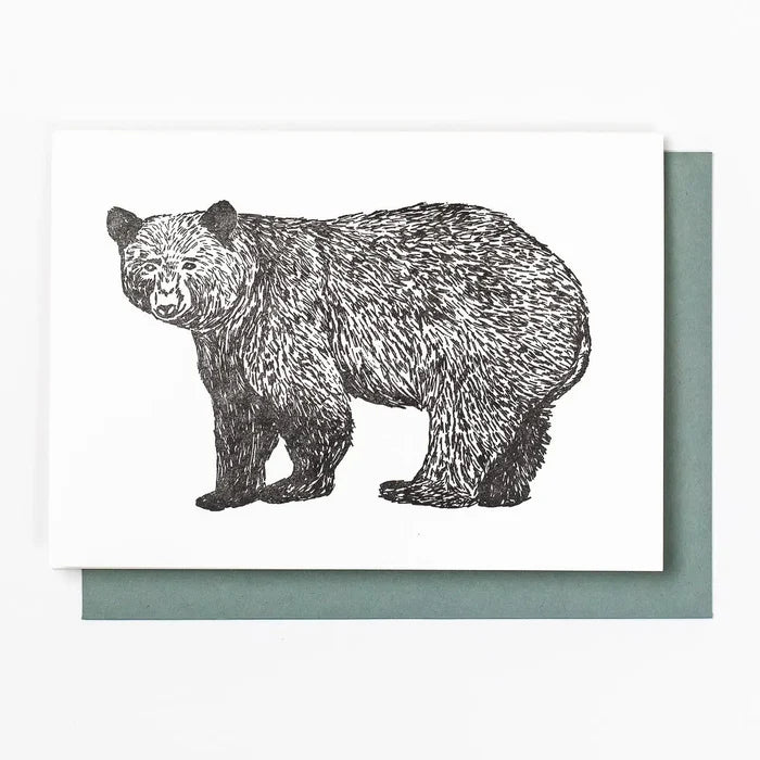 Black Bear