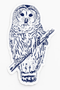 Macon York Stickers - Sow True Seed
