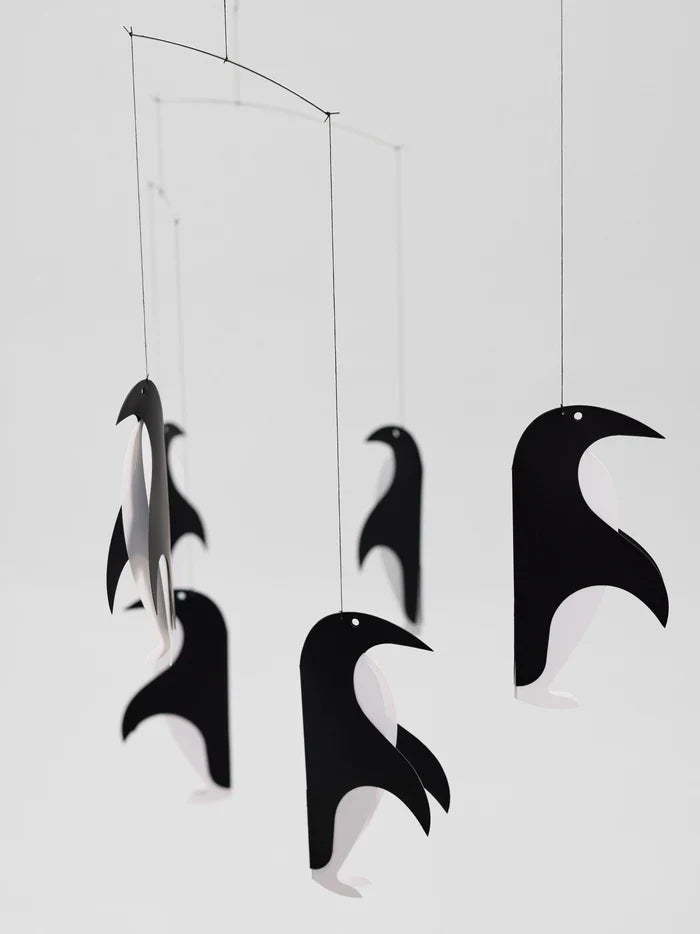 Penguin Talk Mobile - Batten Home