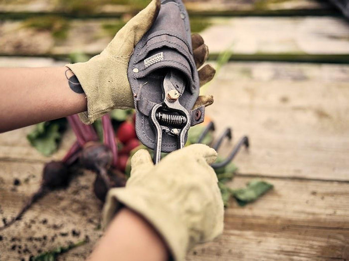 Pruner with Sheath - Sow True Seed