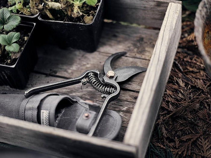 Pruner with Sheath - Sow True Seed