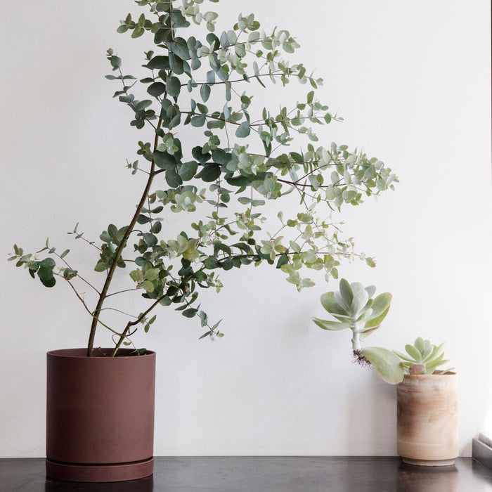 Ferm LivingSekki Pot Medium - Batten Home