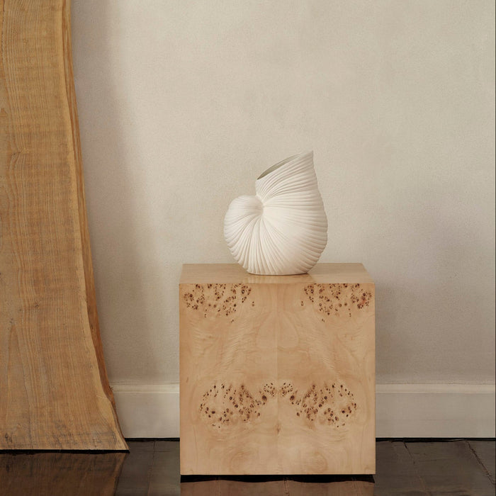 Shell Vase