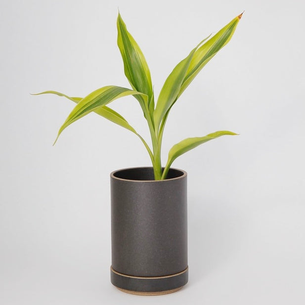 Hasami PorcelainSmall Planter and Saucer Set in Black - Batten Home