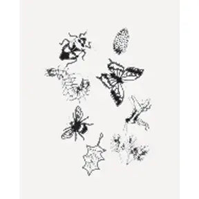 Solar Print Kit - Outdoor Discovery - Sow True Seed