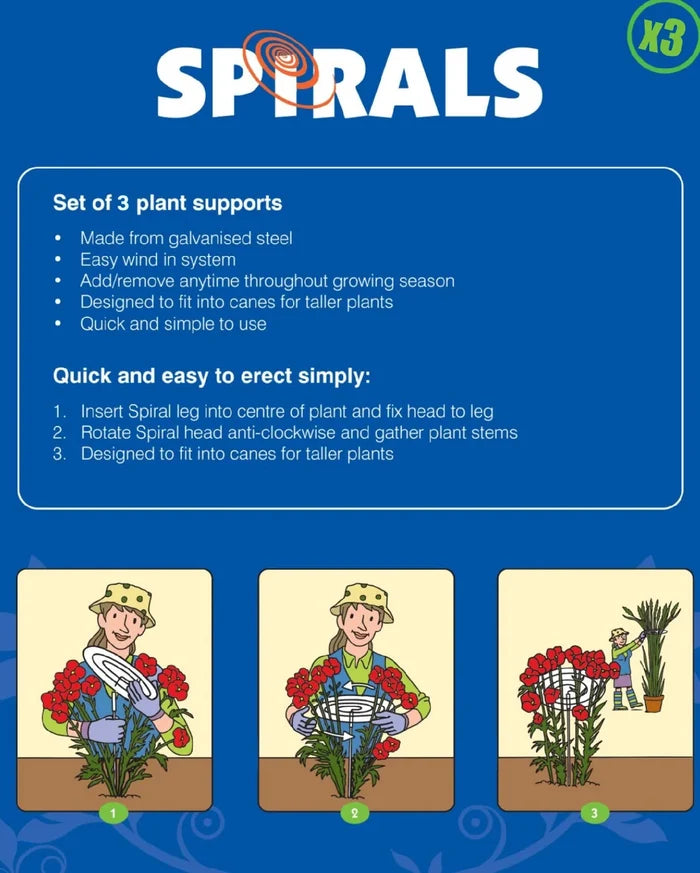 Spirals - Sow True Seed