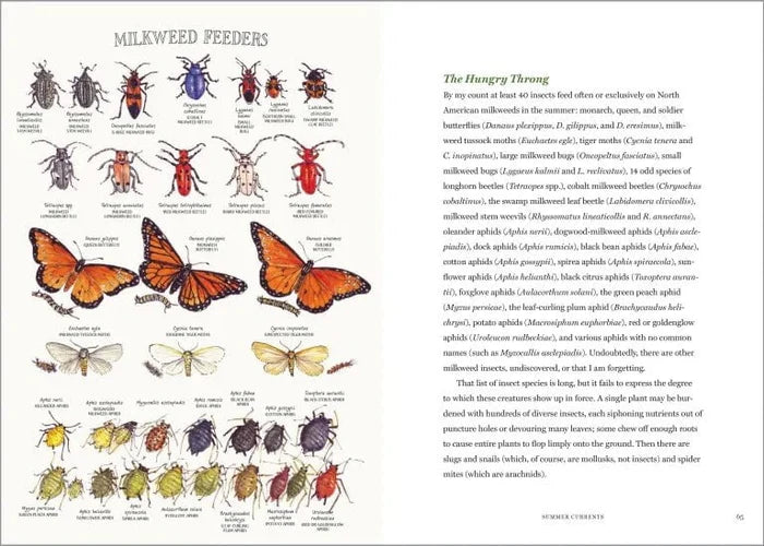 The Milkweed Lands - Sow True Seed
