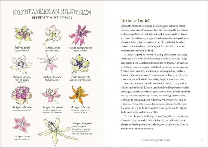 The Milkweed Lands - Sow True Seed