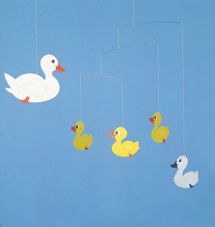 Ugly Duckling Mobile