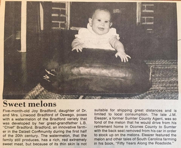 Watermelon - Bradford Family - Sow True Seed